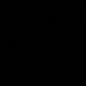 Meet your Posher, Layla